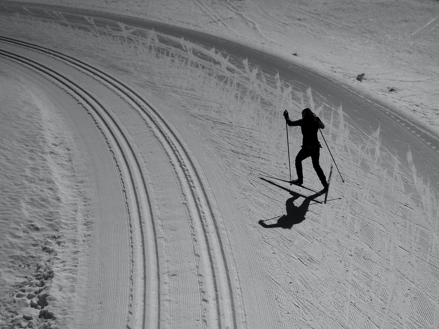 Langlaufen im Winterurlaub Paznaun See, Ischgl Langlaufen im Winterurlaub Paznaun See, Ischgl